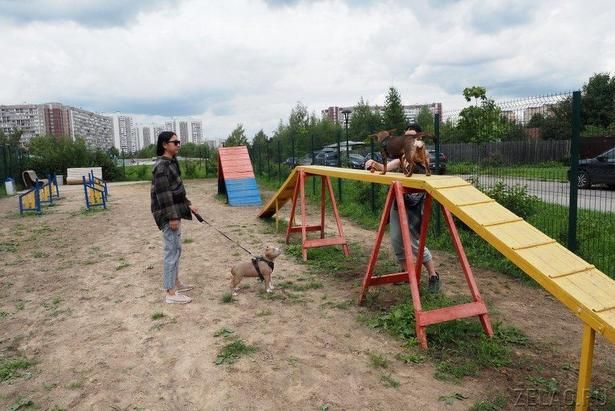 Возле 17 микрорайона отремонтировали площадку для собак