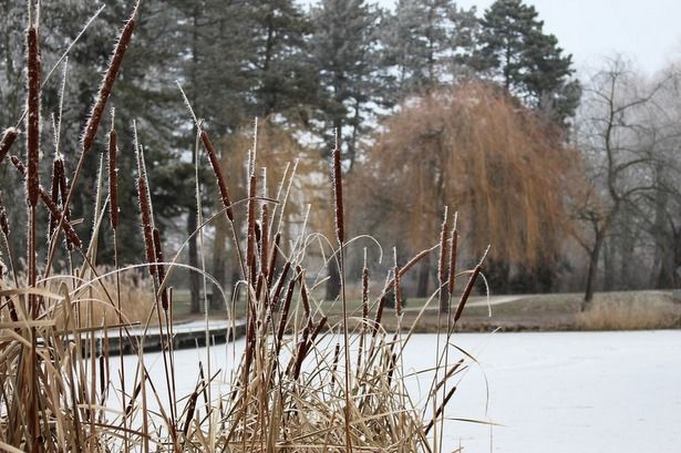 В Зеленограде самый толстый лёд зафиксирован на Школьном озере