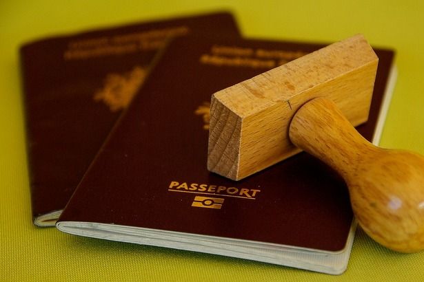 Через шесть лет в России начнётся выдача генетических паспортов