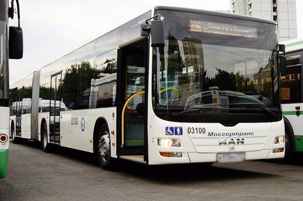 Автобусы № 403 и 408 прекратили развозить зеленоградских дачников до весны