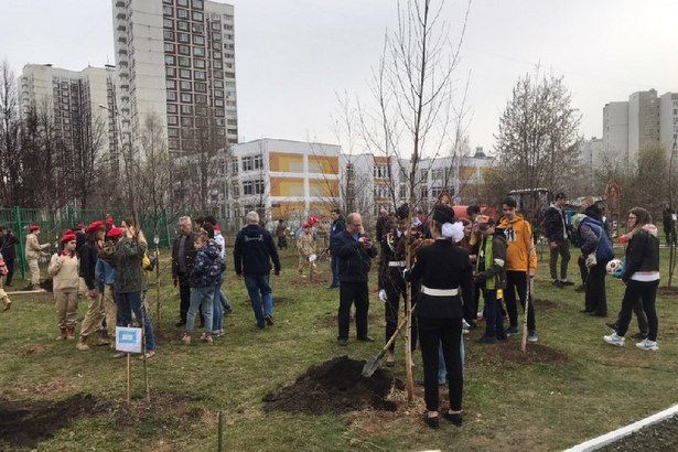 Активисты молодёжных организаций высадили деревья на Аллее славы