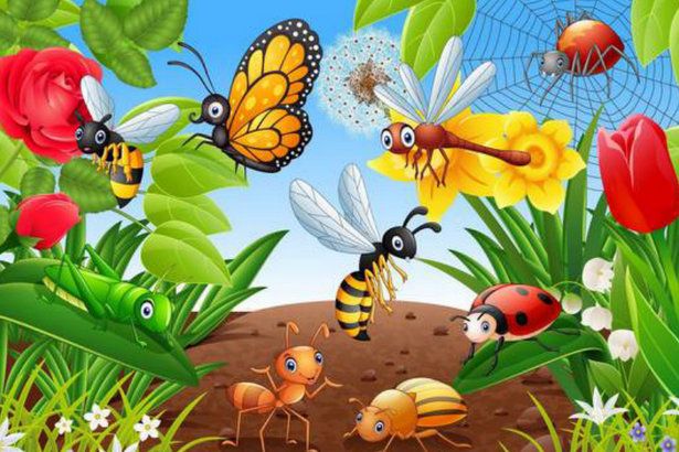 Для ребят до семи лет проведут познавательную программу «Нестрашные насекомые»