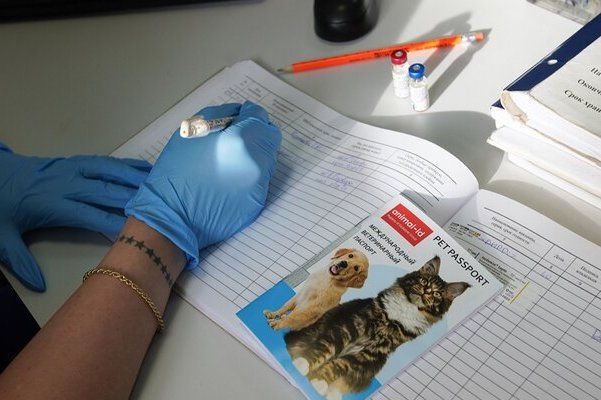 На территории Зеленограда можно вакцинировать домашних питомцев