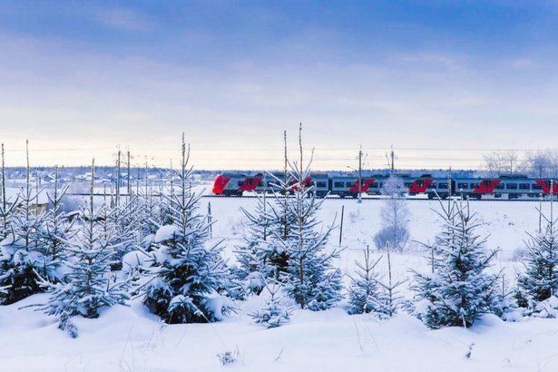 В выходные 22–23 ноября сократят электрички на участке Крюково – Ленинградский вокзал