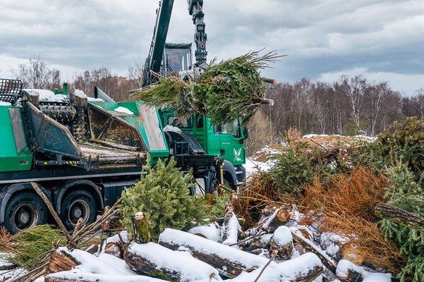 2 января в районе Крюково откроются 7 пунктов приема использованных новогодних елок