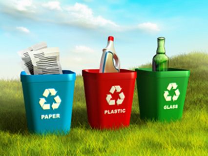 Власти Зеленограда узнают мнение горожан о раздельном сборе отходов