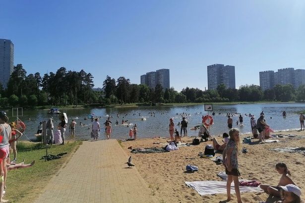 Роспотребнадзор подтвердил безопасность купания в Школьном озере Зеленограда