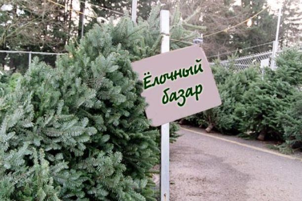 В Зеленограде началась подготовка к Новому году