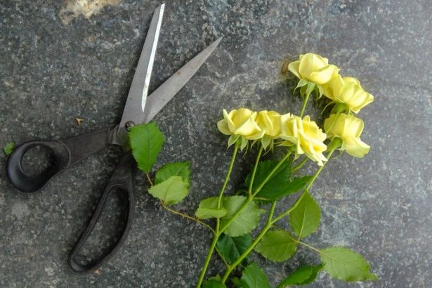 Власти Москвы призвали мужчин не покупать женщинам цветы на незаконных развалах