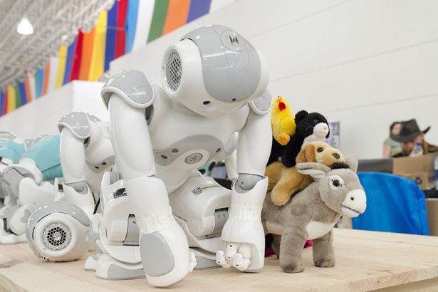 Зеленоградский Дворец Творчества детей и молодежи приглашает школьников на занятия по робототехнике