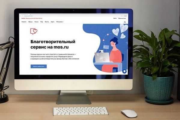 Наталья Сергунина подвела итоги первых трех месяцев работы благотворительного сервиса на mos.ru
