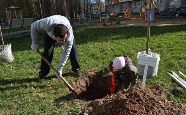 На территории Зеленограда появятся новые деревья и кустарники
