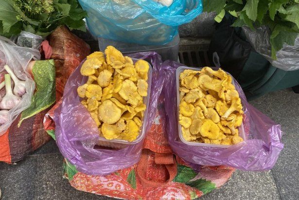 Нелегальная торговля грибами пресечена у станции МЦД «Зеленоград-Крюково»