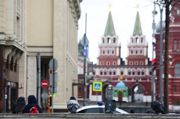 Мэр Москвы отложил введение пропускного режима