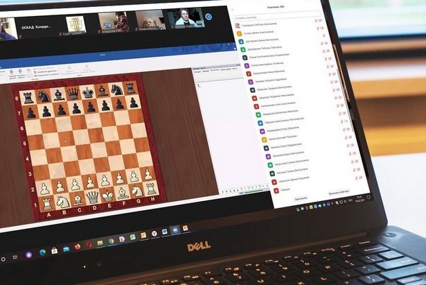 Долголеты могут освоить шахматы и шашки онлайн