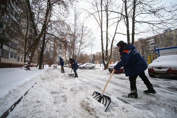 Крюковчане могут выбрать лучшего дворника и уборщика подъездов