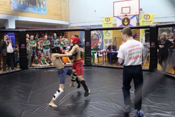 Зеленоградские спортсмены выступили на турнире по рукопашному бою в «Фаворите»