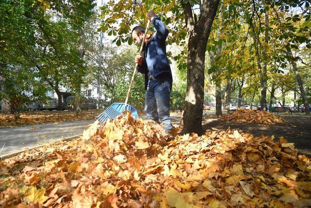 Жителей Крюково приглашаю на осенний субботник