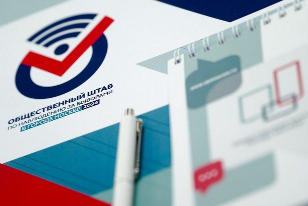 В Штабе по наблюдению за выборами рассказали о режиме электронной очереди в ДЭГ