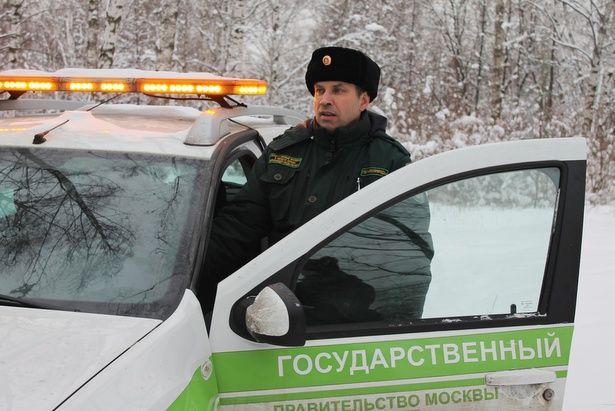 На территории Москвы, а также Зеленограда проходит акция по охране новогодних деревьев «Ель»