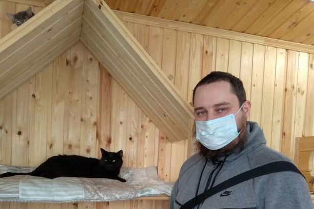 Два кота уехали из приюта «Зеленоград» за семь дней