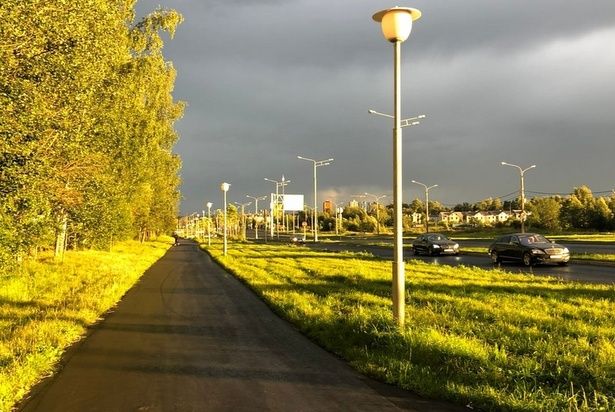 Новые деревья могут появиться между корпусом 2302 и Кутузовским шоссе