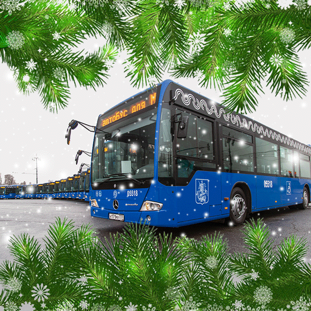 В Зеленограде на Новый год и Рождество продлят работу автобусов