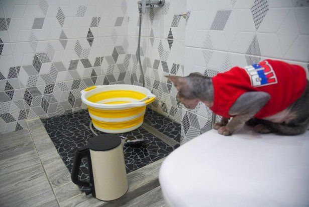 Префектура добивается переноса профилактических отключений ГВС на лето