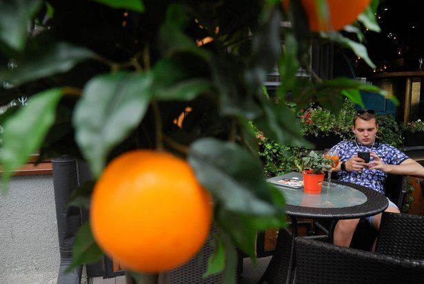 В Москве более 80 процентов летних кафе возобновили работу после снятия ограничений