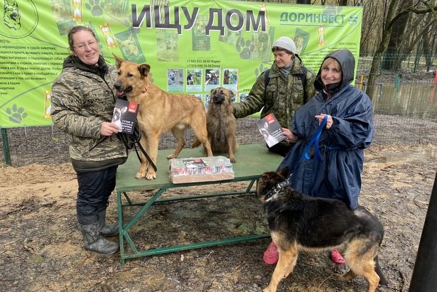 Собаки из зеленоградского приюта стали участниками мероприятия в честь Дня Победы