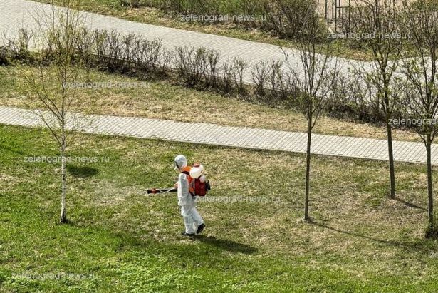 Зеленоград начал обработку от клещей