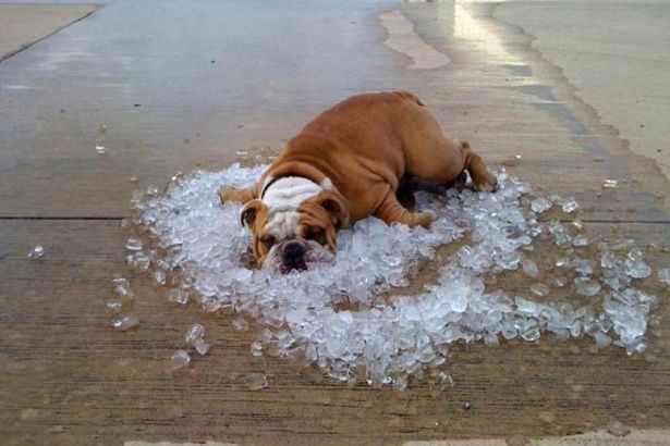 Как защититься от жары