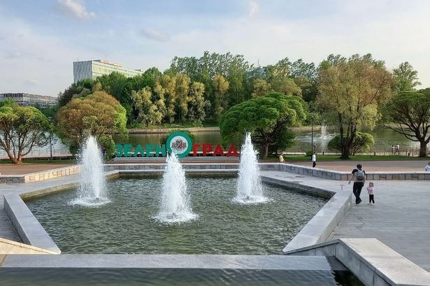 Зеленоградский роддом приглашают будущих родителей на открытые занятия в Парк Победы