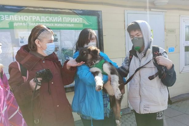 Щенок и кот уехали из приюта «Зеленоград» в начале мая