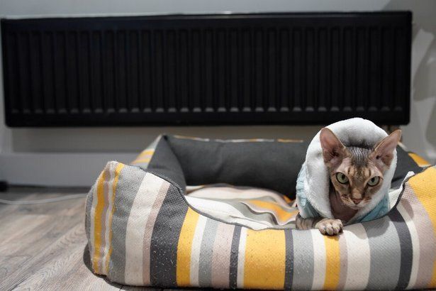 В Москве и Зеленограде начался отопительный сезон