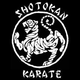 В Крюково можно бесплатно освоить искусство шотокан каратэ