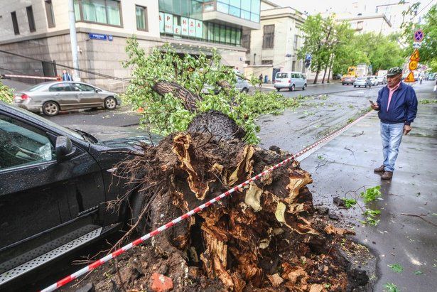 Депутат МГД Козлов рассказал о компенсации урона автомобилю от стихийного бедствия