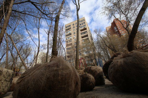 Мэр Москвы призвал горожан присоединиться к акции «Миллион деревьев»