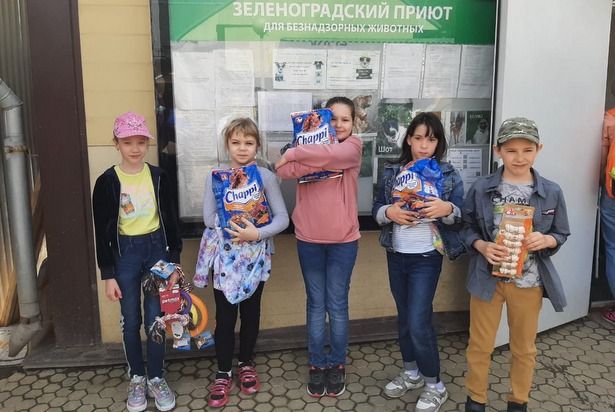 Зеленоградский приют посетили юные волонтёры