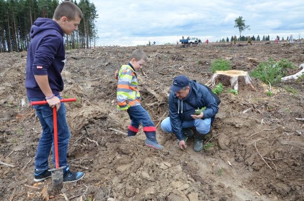 В Москве в 2016 продолжится акция "Миллион деревьев"