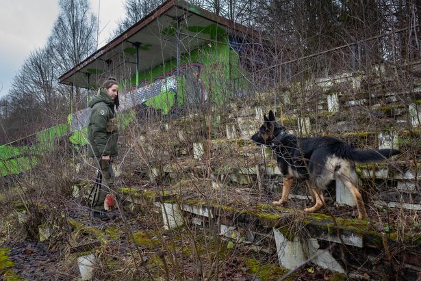 Кинологический центр совместно с зеленоградской ветклиникой готовит служебных собак для работы в зоне СВО