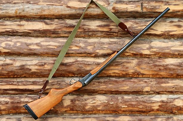 В Зеленограде задержали непрошенных гостей с охотничьим ружьём