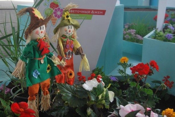 Садоводы-любители показали свое мастерство в рамках фестиваля «Цветочный джем»