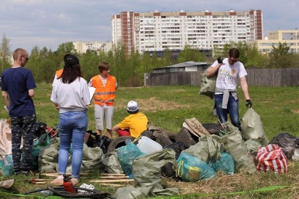 Участники квеста «Эко-Zeленоград» очистили территорию Нижнего Каменского пруда