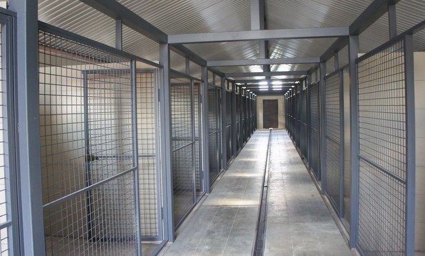 В Зеленограде продолжается строительство нового центра для бездомных животных