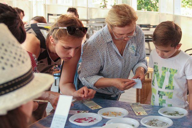 Депутат МГД: Семейные фестивали и неформальные встречи укрепят добрососедские отношения в Москве