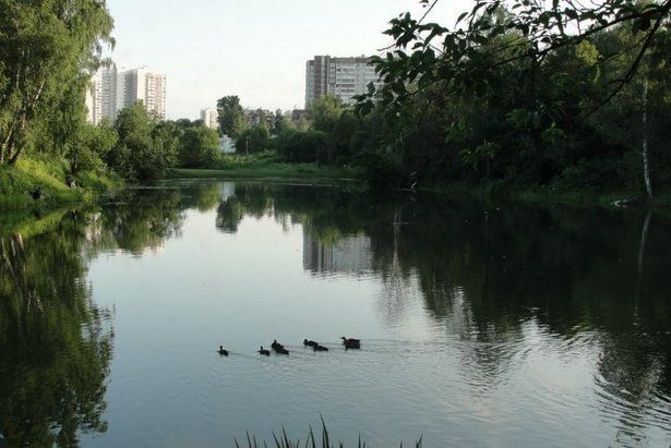 К середине июля парк у Нижнего Каменского пруда в Зеленограде будет благоустроен