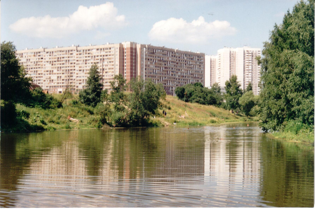 050.jpg