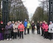Зеленоградские пенсионеры совершили сканди-экскурсию по Дендропарку