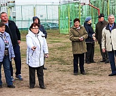 В Крюково прошли соревнования по петанку среди ветеранов